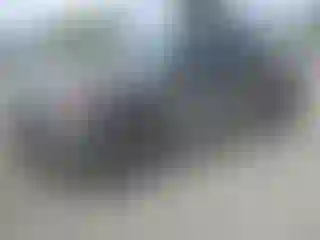 Vehicle Image- 2009 Ford F-150