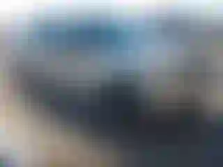 Vehicle Image- 2006 Ford F-150