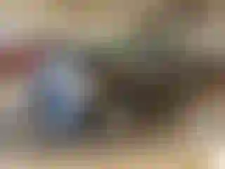 Vehicle Image- 2008 Ford F-150