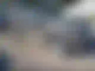 Vehicle Image- 2007 Ford F-150