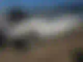 Vehicle Image- 2008 Ford F-150