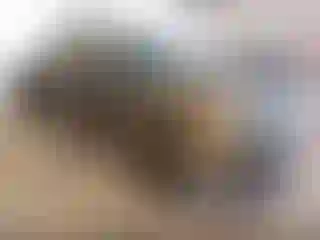 Vehicle Image- 2009 Ford F-150