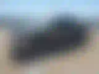 Vehicle Image- 2008 Ford F-150