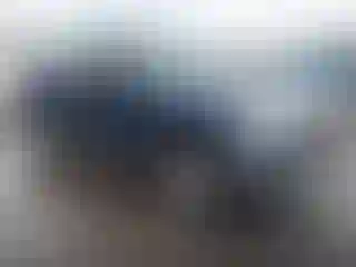 Vehicle Image- 2008 Ford F-150