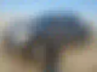 Vehicle Image- 2009 Ford F-150