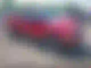 Vehicle Image- 2008 Ford F-150