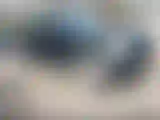 Vehicle Image- 2006 Ford F-150