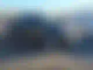 Vehicle Image- 2008 Ford F-150