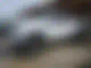 Vehicle Image- 2007 Ford F-150