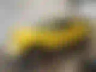 Vehicle Image- 2004 Ford F-150