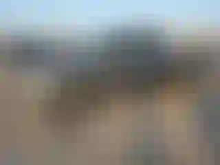 Vehicle Image- 2004 Ford F-150