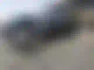 Vehicle Image- 2005 Ford F-150