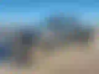 Vehicle Image- 2005 Ford F-150