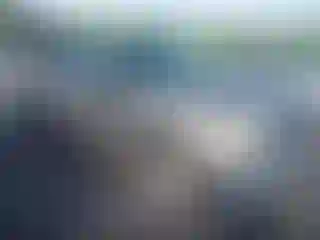 Vehicle Image- 2004 Ford F-150