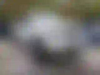 Vehicle Image- 2005 Ford F-150