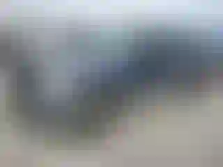 Vehicle Image- 2004 Ford F-150