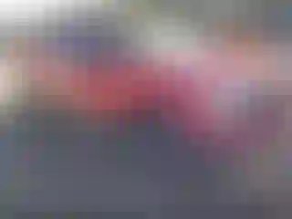 Vehicle Image- 2005 Ford F-150