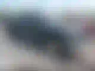 Vehicle Image- 2004 Ford F-150