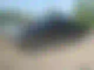 Vehicle Image- 2004 Ford F-150