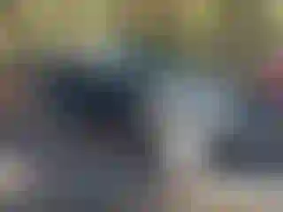 Vehicle Image- 2005 Ford F-150