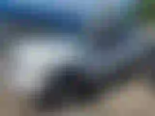 Vehicle Image- 2006 Ford F-150