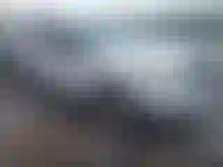 Vehicle Image- 2004 Ford F-150