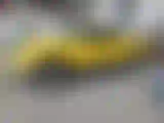 Vehicle Image- 2004 Ford F-150