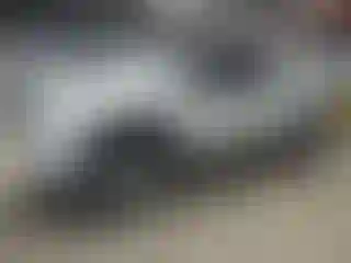 Vehicle Image- 2004 Ford F-150