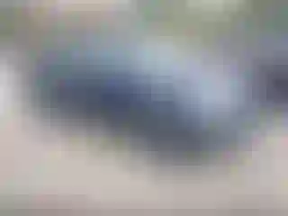 Vehicle Image- 2004 Ford F-150