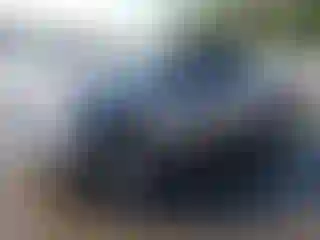 Vehicle Image- 2006 Ford F-150