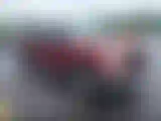 Vehicle Image- 2004 Ford F-150