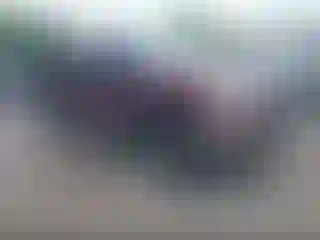 Vehicle Image- 2006 Ford F-150