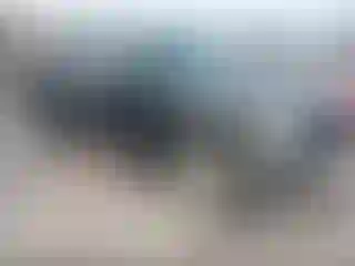 Vehicle Image- 2005 Ford F-150