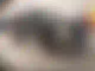 Vehicle Image- 2005 Ford F-150