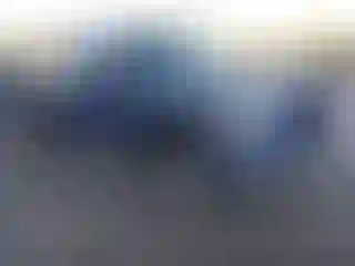 Vehicle Image- 2006 Ford F-150