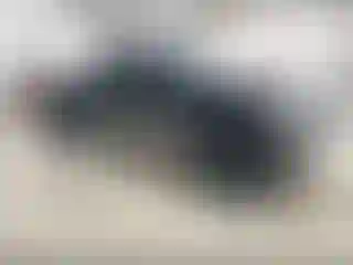 Vehicle Image- 2007 Ford F-150