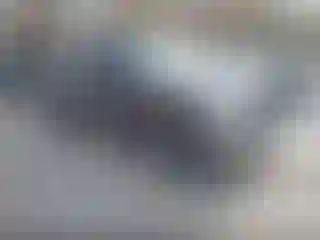 Vehicle Image- 2007 Ford F-150