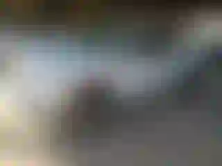 Vehicle Image- 2006 Ford F-150