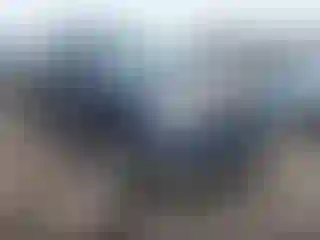 Vehicle Image- 2008 Ford F-150