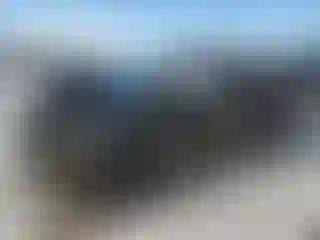 Vehicle Image- 2009 Ford F-150