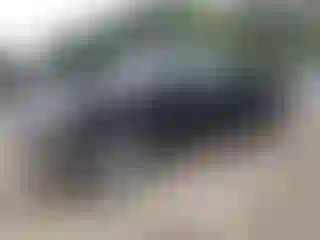 Vehicle Image- 2008 Ford F-150