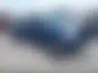 Vehicle Image- 2007 Ford F-150