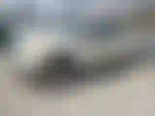 Vehicle Image- 2008 Ford F-150