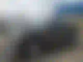 Vehicle Image- 2005 Ford F-150