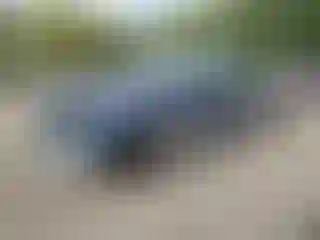Vehicle Image- 2004 Ford F-150