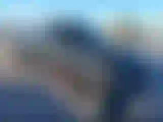 Vehicle Image- 2002 Ford F-150