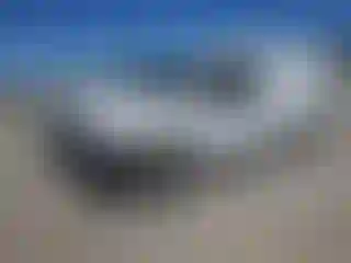 Vehicle Image- 2008 Ford F-150
