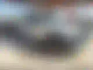 Vehicle Image- 2006 Ford F-150