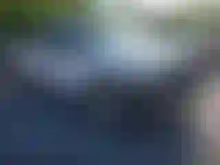 Vehicle Image- 2006 Ford F-150