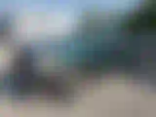 Vehicle Image- 2008 Ford F-150